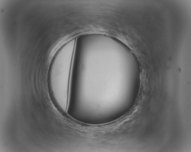 X0000065980007200603030942