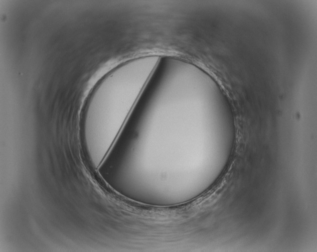 X0000065980008200603030942