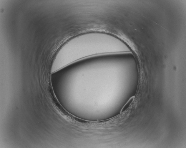 X0000065980009200603030942