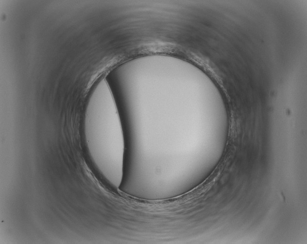 X0000065980010200603030941