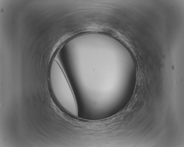 X0000065980011200603030941