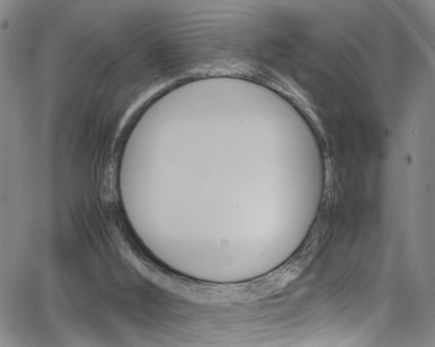 X0000065980012200603030941