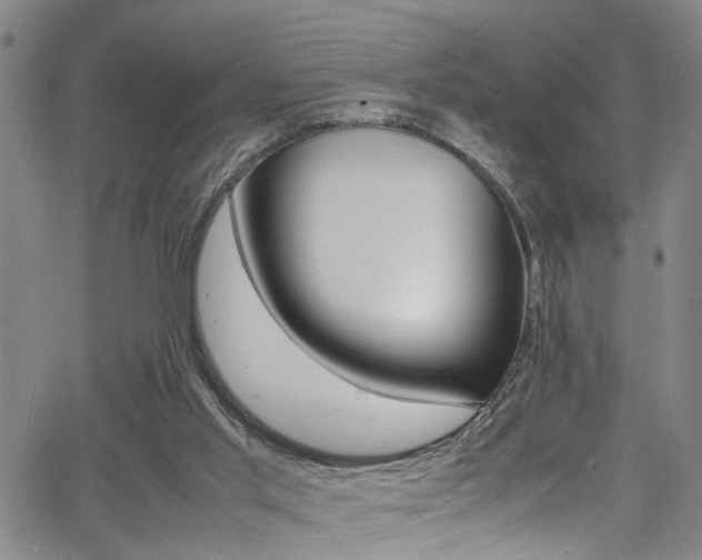 X0000065980013200603030941