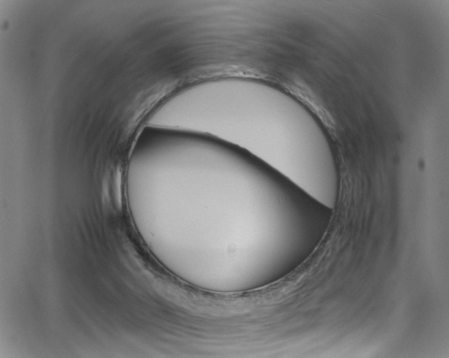 X0000065980014200603030941