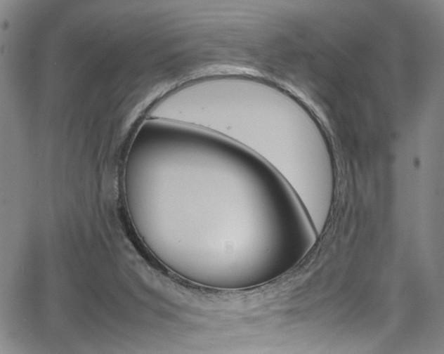 X0000065980015200603030941