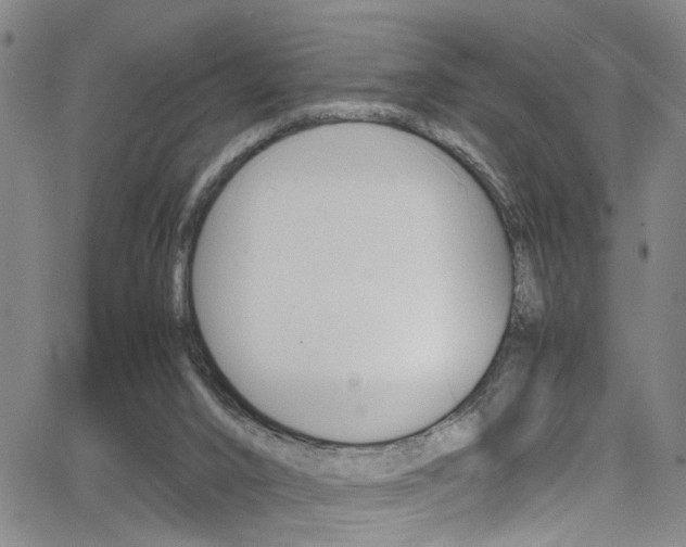 X0000065980016200603030941