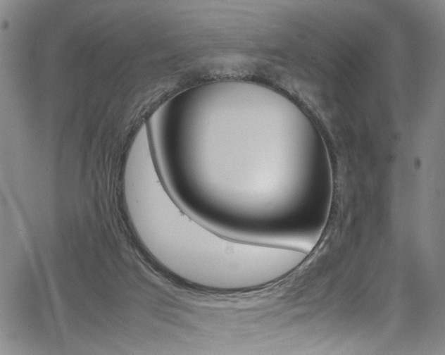 X0000065980017200603030941