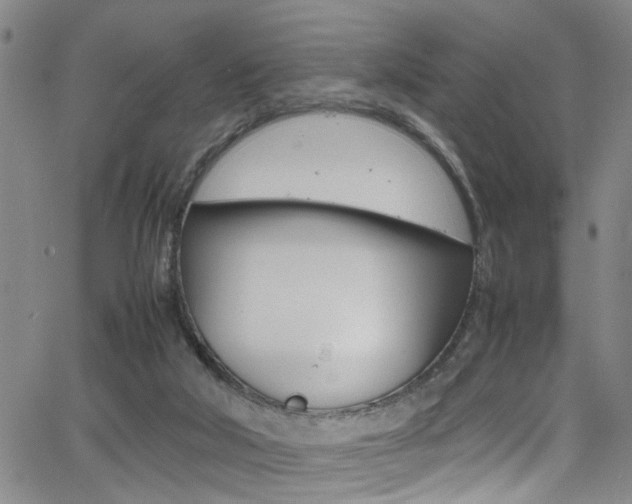 X0000065980018200603030941