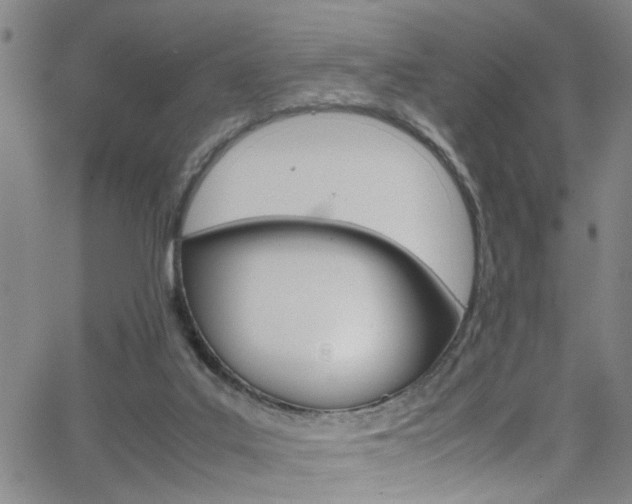 X0000065980019200603030941