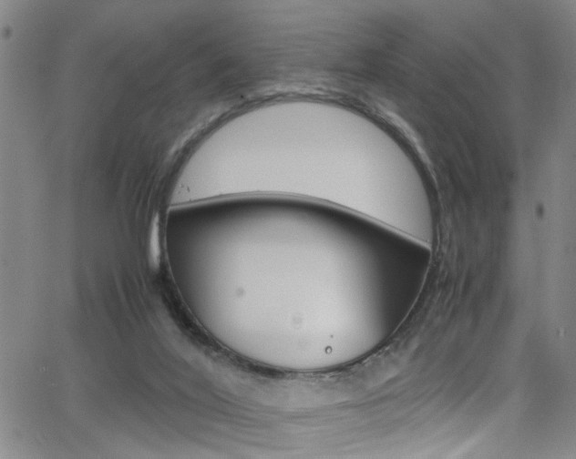 X0000065980020200603030941