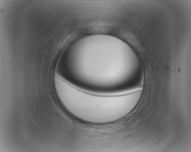 X0000065980021200603030941