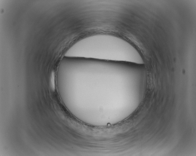 X0000065980022200603030941