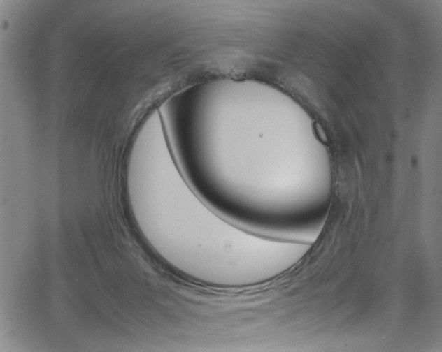 X0000065980023200603030941