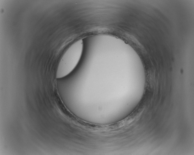 X0000065980024200603030941