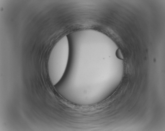 X0000065980026200603030941