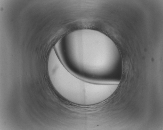 X0000065980027200603030941