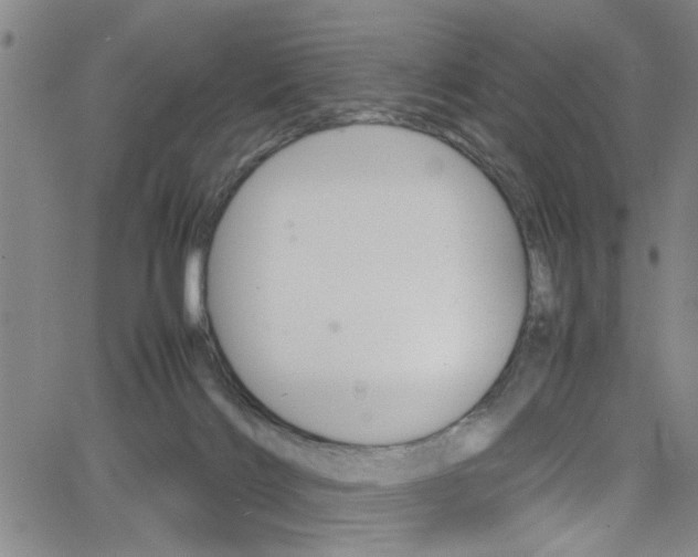 X0000065980028200603030941