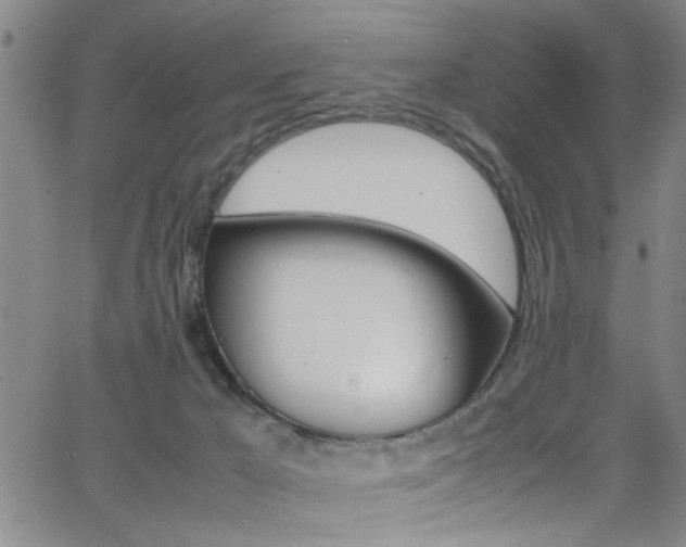 X0000065980029200603030941