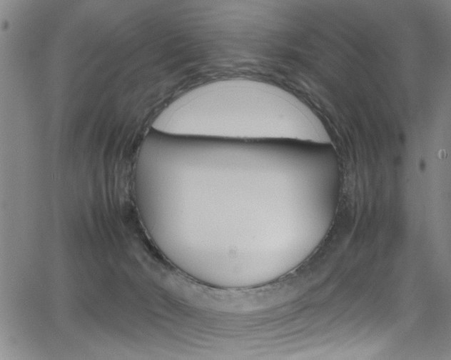 X0000065980030200603030941