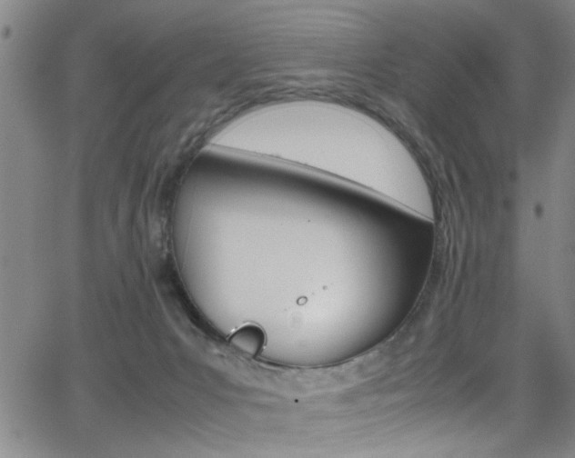 X0000065980031200603030941