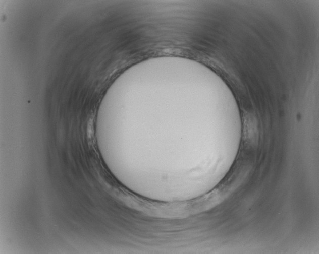 X0000065980032200603030941