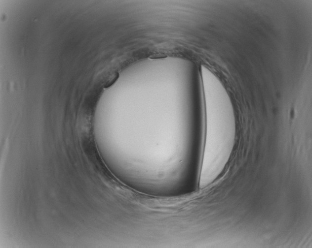 X0000065980033200603030941