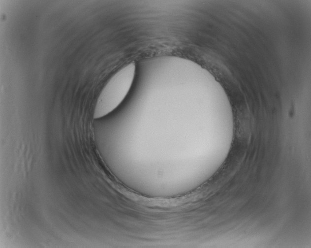 X0000065980034200603030941