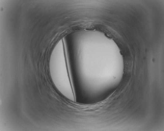 X0000065980035200603030941