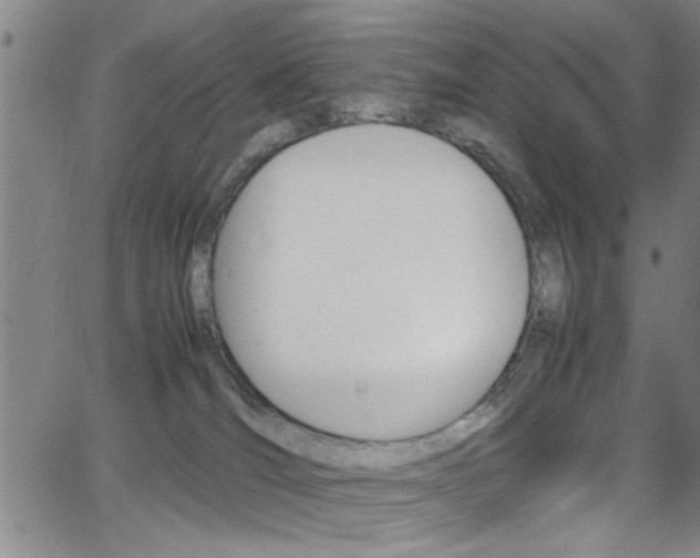 X0000065980036200603030941