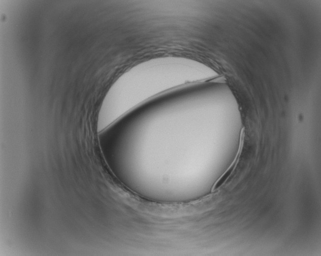 X0000065980037200603030941