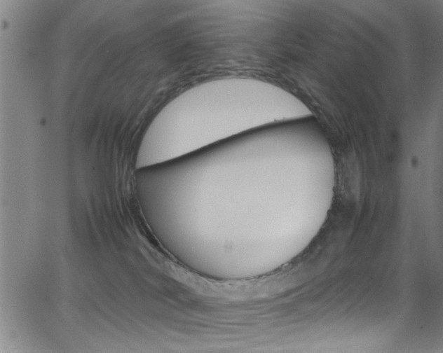 X0000065980038200603030941