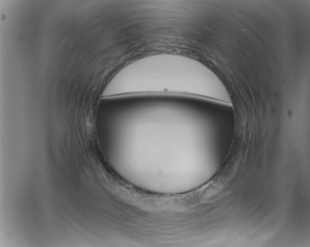 X0000065980040200603030941