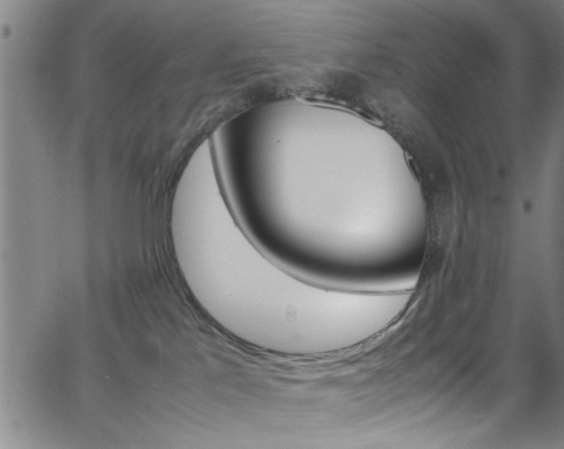 X0000065980041200603030941