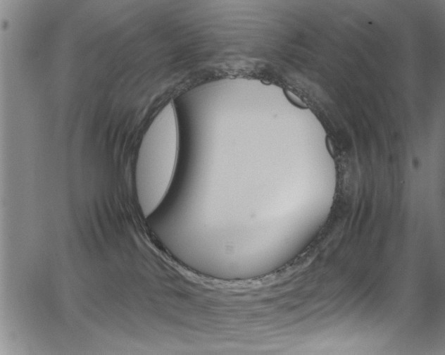 X0000065980042200603030941