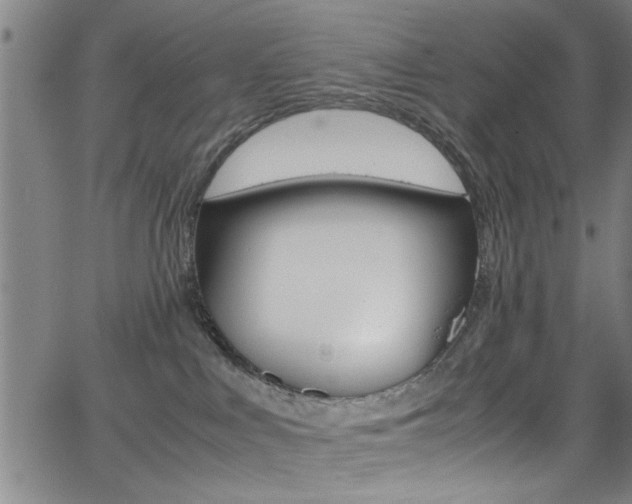 X0000065980043200603030941