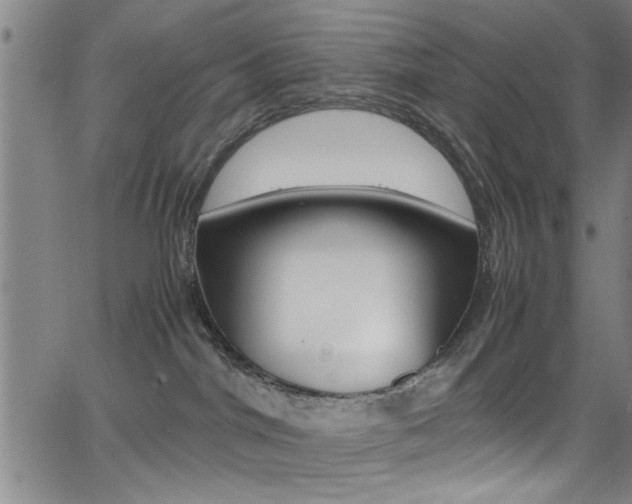 X0000065980044200603030941