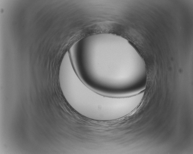 X0000065980045200603030941