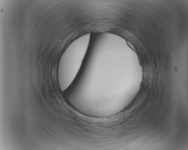 X0000065980046200603030941