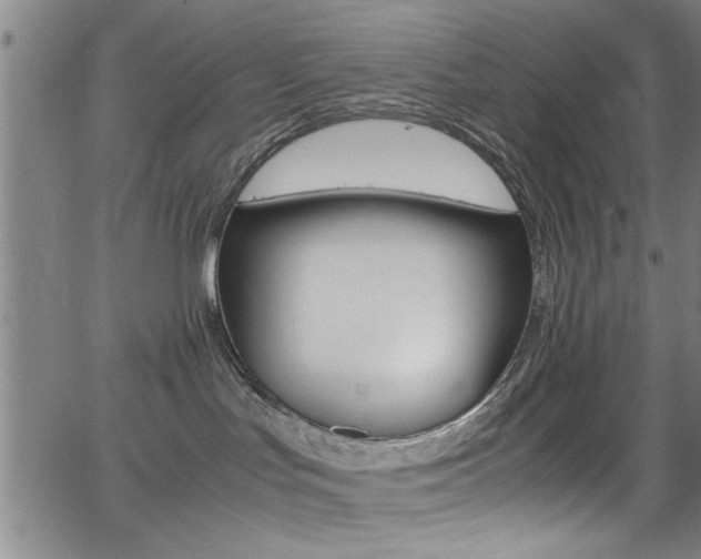 X0000065980047200603030941