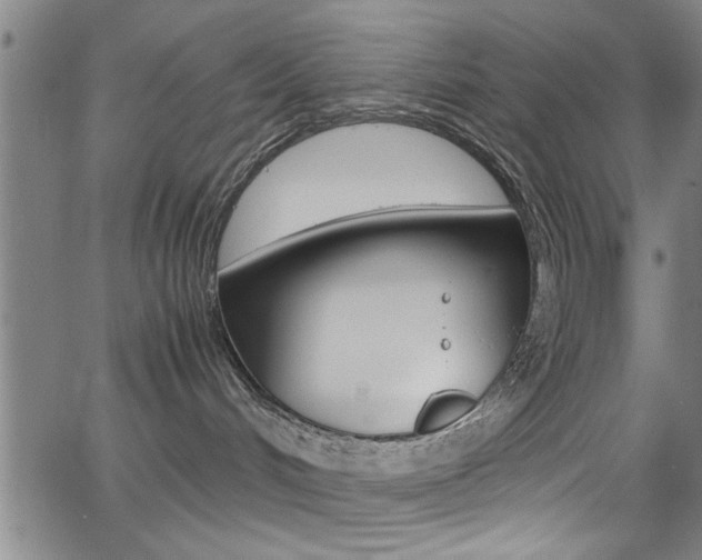 X0000065980048200603030941