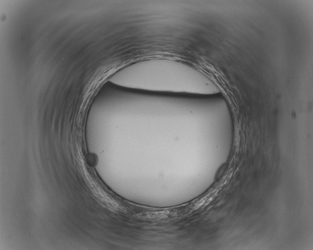 X0000065980049200603030940