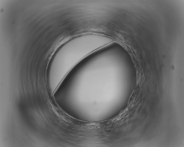 X0000065980050200603030940