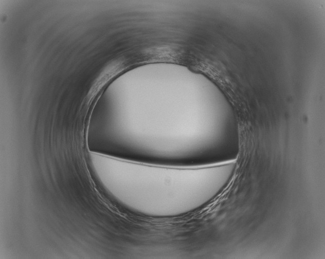 X0000065980051200603030940