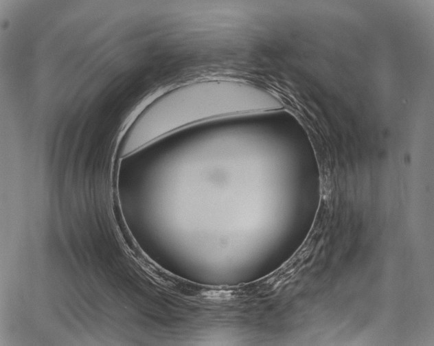 X0000065980052200603030940