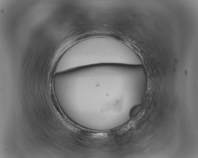 X0000065980053200603030940