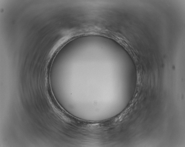 X0000065980054200603030940