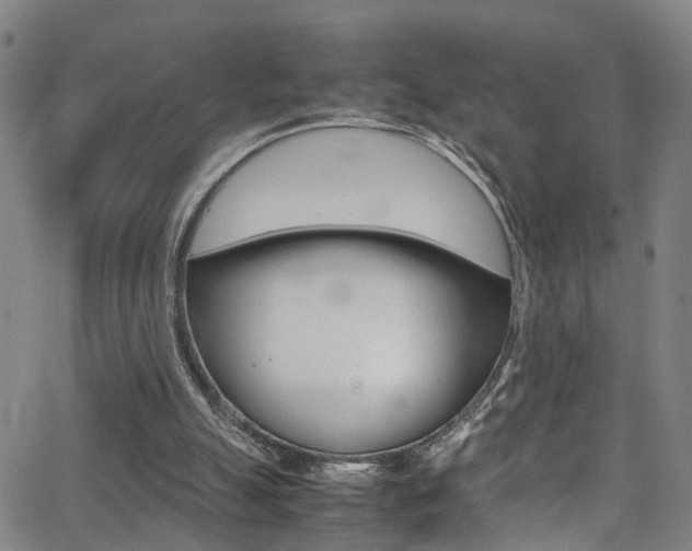 X0000065980055200603030940