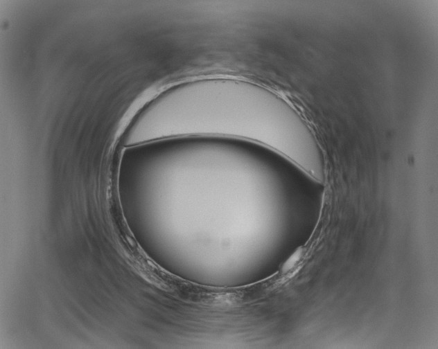 X0000065980056200603030940