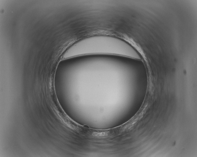 X0000065980057200603030940