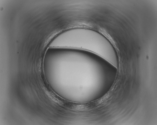 X0000065980058200603030940